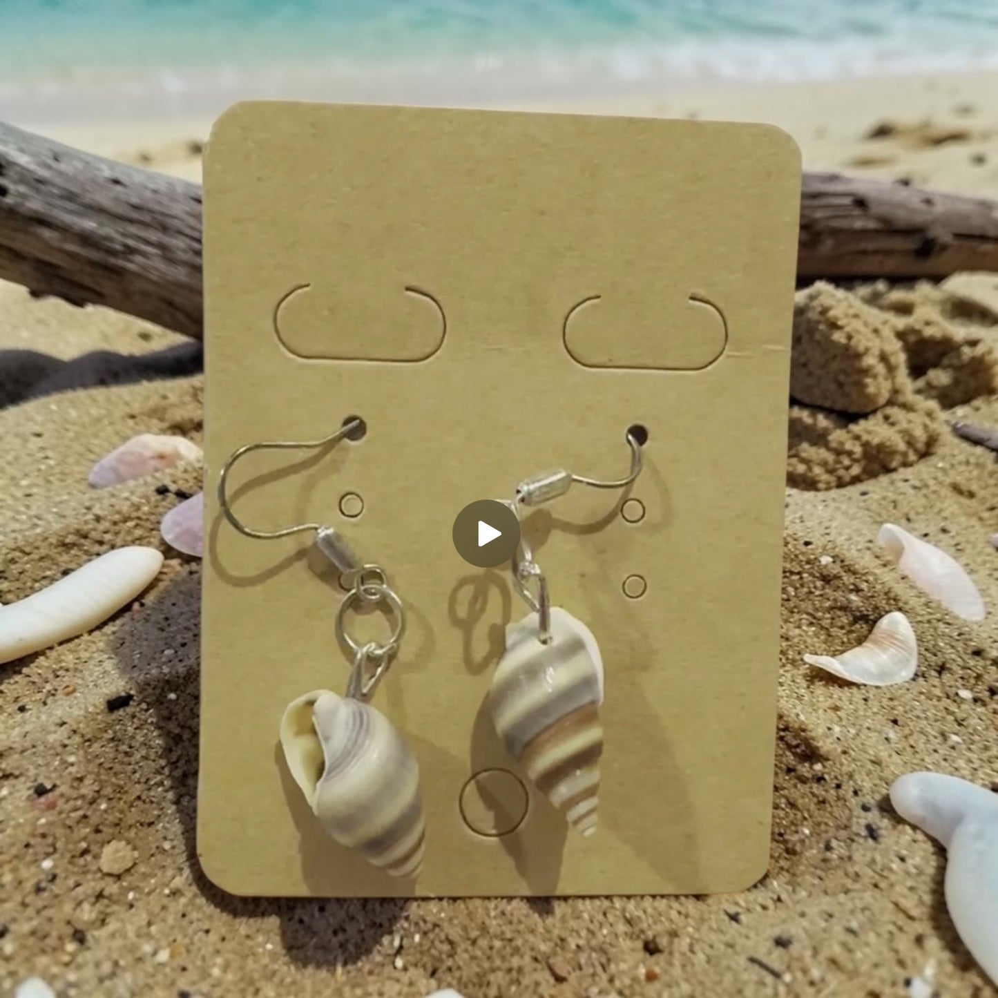 Seaside Shell Earrings