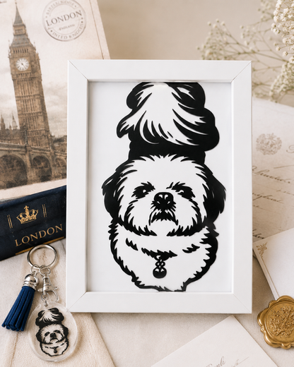 Family & Pet Portraits